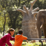 Free museums and zoos